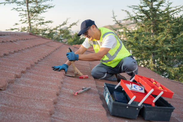 Best Storm Damage Roof Repair  in Zelienople, PA