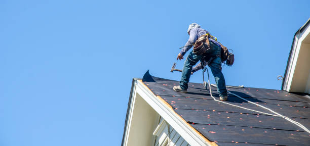Professional Roofing Contractor in Zelienople, PA